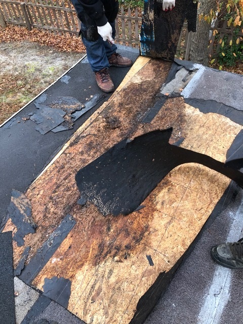 Flat Roof Trailer Roof Repair Lewes Delaware